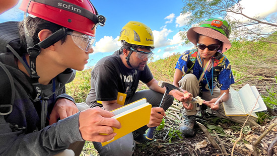 Explore our Research Areas