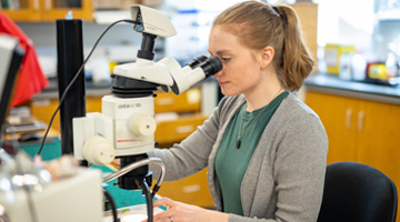 Ph.D. Program