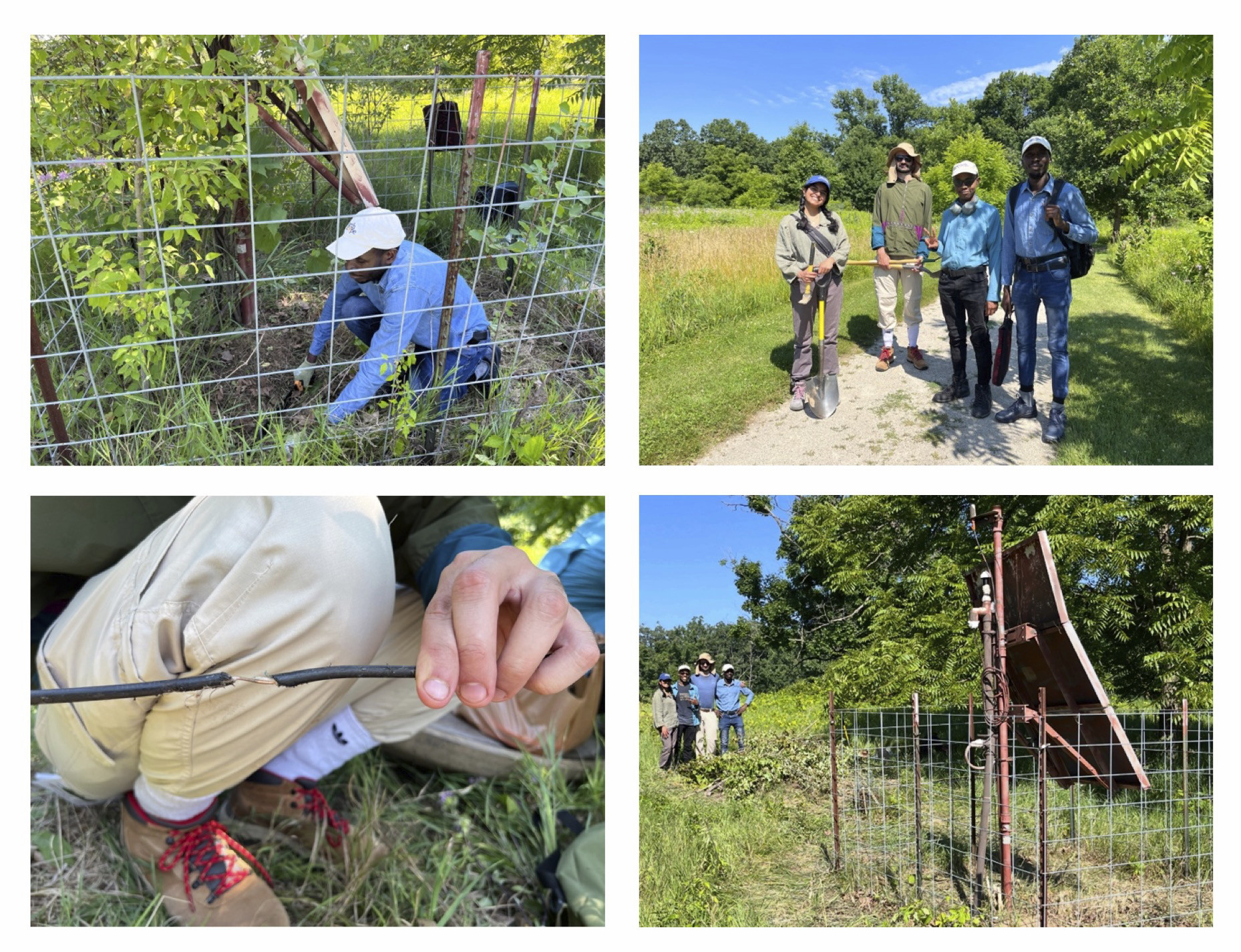 field photos